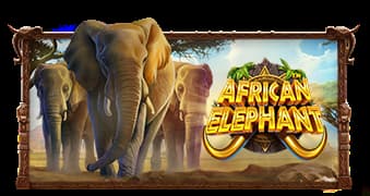 African Elephant slot game by Pragmatic Play
